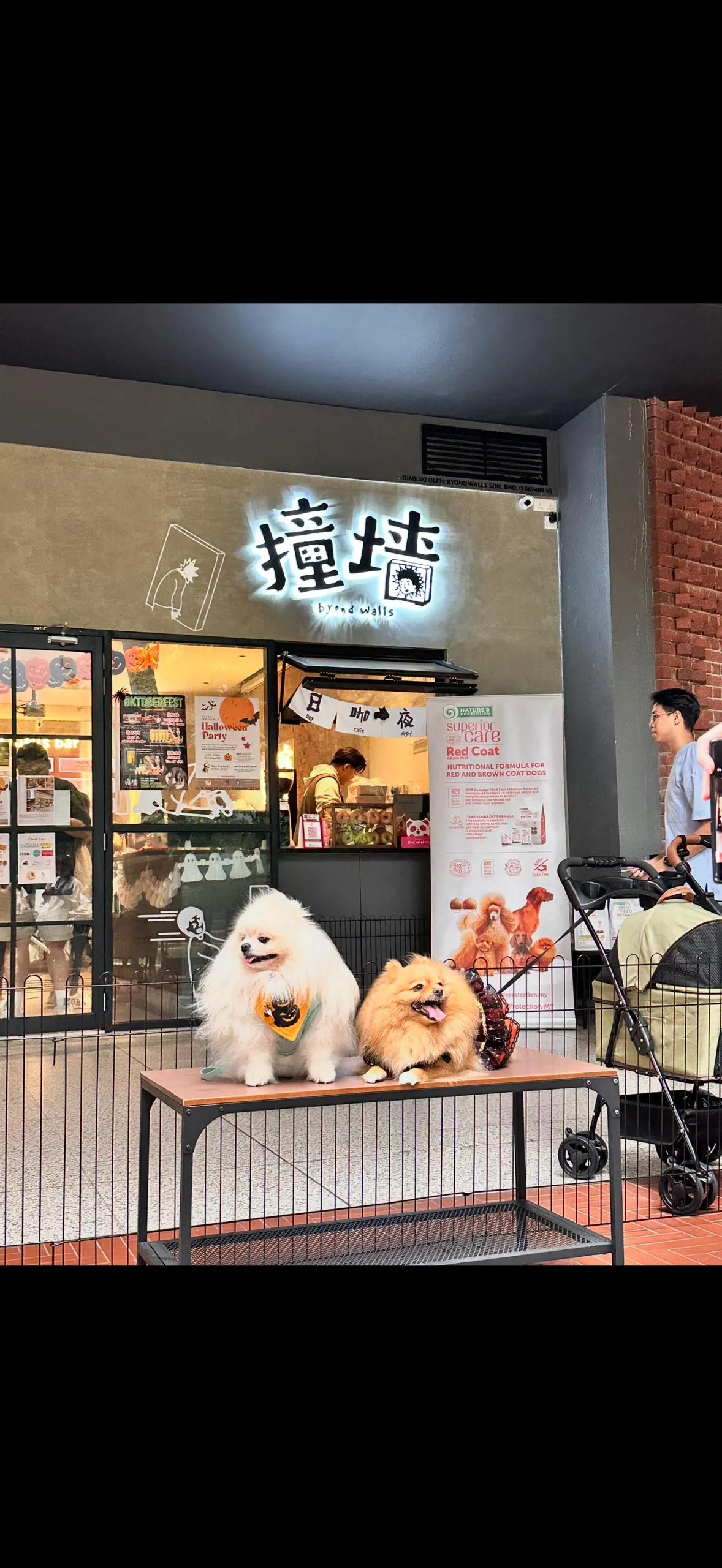 Byond Walls Millerz Square KL venue | 撞墙 Millerz Square